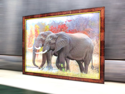 3D Elephants in Wild.