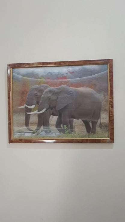 3D Elephants in Wild.